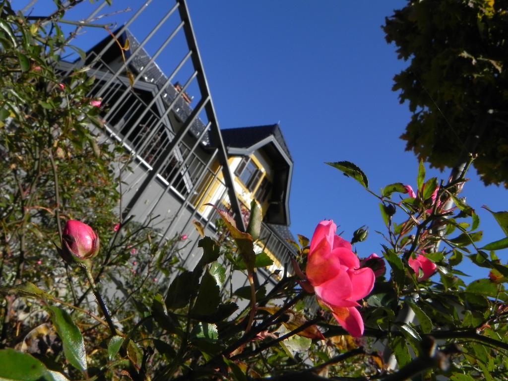 Vila Mila เบลด ภายนอก รูปภาพ